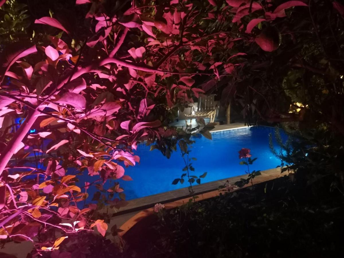 פס Riad Avec Terrasse Privee Et Piscine Partagee A 300M מראה חיצוני תמונה